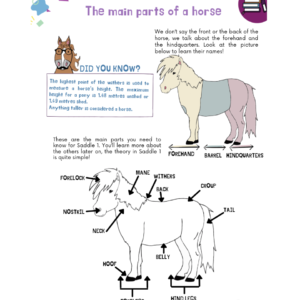 Rider Manual – Saddle 1